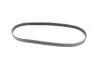 <strong>Ремінь поліклиновий Subaru Forester 2,0i 2,5i 02>08, 2,5i 09>, Legasy 2,5i 03>05 ContiTech CONTITECH 5PK880 (фото 4)</strong>