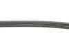 <strong>Поліклиновий ремінь CONTITECH 5PK898 ELAST (фото 3)</strong>