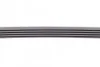 <strong>Ремень генератора 5PK 900 BMW 7/Tempra CONTITECH 5PK900 (фото 3)</strong>