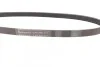 <strong>Пас поліклиновий BMW 3 (E36)/5 (E34/E39) 95-03 CONTITECH 5PK906 (фото 2)</strong>