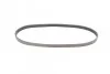 <strong>Пас поліклиновий BMW 3 (E36)/5 (E34/E39) 95-03 CONTITECH 5PK906 (фото 4)</strong>