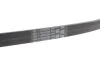 <strong>Доріжковий пас CONTITECH 5PK926ELAST (фото 2)</strong>