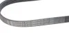 <strong>Доріжковий пас CONTITECH 5PK926ELAST (фото 3)</strong>
