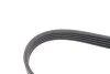 <strong>Доріжковий пас CONTITECH 5PK926ELAST (фото 4)</strong>