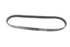 <strong>Доріжковий пас CONTITECH 5PK926ELAST (фото 5)</strong>