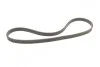 <strong>Пас поліклиновий двобічний VW T5 1.9TDI/VW Caddy 1 CONTITECH 6DPK1195 (фото 3)</strong>