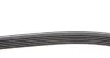 <strong>Комплект пасу поліклинового Audi A3/Seat Leon/Sko CONTITECH 6DPK1195K1 (фото 2)</strong>