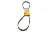 <strong>Пас поліклиновий двобічний на VW T5/Sharan CONTITECH 6DPK1215 (фото 1)</strong>