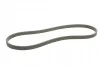<strong>Пас поліклиновий двобічний на VW T5/Sharan CONTITECH 6DPK1215 (фото 3)</strong>