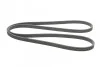 <strong>Пас поліклиновий двобічний на MB Sprinter (W906)/Vito CONTITECH 6DPK2215 (фото 3)</strong>