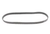 <strong>Поліклиновий ремінь CONTITECH 6PK1004 EXTRA (фото 1)</strong>