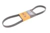 <strong>Поліклиновий ремінь CONTITECH 6PK1004 EXTRA (фото 2)</strong>