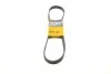 <strong>Пас поліклиновий Citroen Jumper/Peugeot Boxer2.5D/ CONTITECH 6PK1010 (фото 1)</strong>