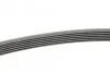 <strong>Пас поліклиновий Citroen Jumper/Peugeot Boxer2.5D/ CONTITECH 6PK1010 (фото 2)</strong>
