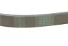 <strong>Пас поліклиновий Citroen Jumper/Peugeot Boxer2.5D/ CONTITECH 6PK1010 (фото 3)</strong>