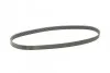 <strong>Пас поліклиновий Citroen Jumper/Peugeot Boxer2.5D/ CONTITECH 6PK1010 (фото 5)</strong>