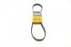 <strong>Пас поліклиновий Ford Fiesta/Focus CONTITECH 6PK1019ELAST (фото 1)</strong>