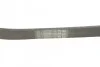 <strong>Пас поліклиновий Ford Fiesta/Focus CONTITECH 6PK1019ELAST (фото 3)</strong>