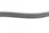 <strong>Поліклиновий ремінь CONTITECH 6PK1019ELASTT1 (фото 11)</strong>