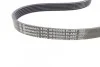 <strong>Поліклиновий ремінь CONTITECH 6PK1019ELASTT1 (фото 5)</strong>