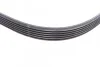 <strong>Поліклиновий ремінь CONTITECH 6PK1019ELASTT1 (фото 7)</strong>