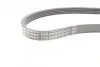 <strong>Поліклиновий ремінь CONTITECH 6PK1019ELASTT1 (фото 9)</strong>