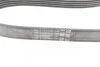 <strong>Поліклиновий ремінь CONTITECH 6PK1019ELASTT1 (фото 10)</strong>