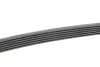<strong>Пас поліклиновий MB 310 2.9D CONTITECH 6PK1020 (фото 2)</strong>