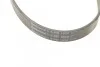 <strong>Пас поліклиновий MB 310 2.9D CONTITECH 6PK1020 (фото 4)</strong>