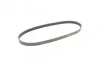 <strong>Пас поліклиновий MB 310 2.9D CONTITECH 6PK1020 (фото 5)</strong>