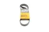 <strong>Ремінь генератора поліклиновий CONTITECH 6PK1020EXTRA (фото 1)</strong>