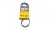 <strong>Пас поліклиновий Audi A3/A4/A5/A6/Seat Leon/VW Caddy CONTITECH 6PK1026 (фото 1)</strong>