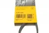 <strong>Пас поліклиновий Audi A3/A4/A5/A6/Seat Leon/VW Caddy CONTITECH 6PK1026 (фото 6)</strong>
