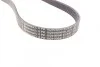 <strong>Ремінь поліклиновий CONTITECH 6PK1029ELAST (фото 2)</strong>