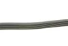 <strong>Пас поліклиновий VW Golf/Passat 1.6-2.0 96-/Nissan CONTITECH 6PK1033 (фото 2)</strong>