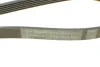 <strong>Пас поліклиновий VW Golf/Passat 1.6-2.0 96-/Nissan CONTITECH 6PK1033 (фото 4)</strong>
