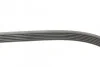 <strong>Пас поліклиновий Ford Fiesta VI 1.25-1.6Ti 08- CONTITECH 6PK1033ELAST (фото 2)</strong>