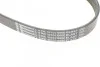 <strong>Пас поліклиновий Ford Fiesta VI 1.25-1.6Ti 08- CONTITECH 6PK1033ELAST (фото 4)</strong>