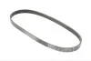 <strong>Пас поліклиновий Ford Fiesta VI 1.25-1.6Ti 08- CONTITECH 6PK1033ELAST (фото 5)</strong>