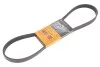 <strong>Поклиновий ремень CONTITECH 6PK1034EXTRA (фото 2)</strong>
