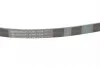 <strong>Пас поліклиновий Toyota Camry 3.0 01-06/Peugeot 20 CONTITECH 6PK1038 (фото 3)</strong>