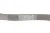 <strong>Ремінь поліклиновий CONTITECH 6PK1042ELAST (фото 3)</strong>