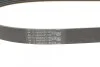 <strong>Пас поліклиновий VW Golf III/Passat/T4 1.9D/TD 90- CONTITECH 6PK1045 (фото 3)</strong>