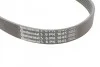 <strong>Пас поліклиновий VW Golf III/Passat/T4 1.9D/TD 90- CONTITECH 6PK1045 (фото 4)</strong>