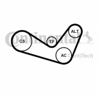 Комплект (ремінь+ролики) для Volkswagen, Audi, Seat, Skoda CONTITECH 6PK1050K2 фото товару