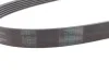 <strong>Пас поліклиновий Audi/Skoda Octavia/VW Golf/Passat CONTITECH 6PK1054 (фото 2)</strong>