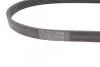 <strong>Ремінь поліклиновий CONTITECH 6PK1059 ELAST (фото 2)</strong>