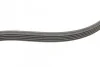 <strong>Пас поліклиновий Ford Focus 1.4/1.6i 03-/Volvo C30 CONTITECH 6PK1059 ELAST T2 (фото 2)</strong>