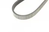 <strong>Пас поліклиновий Ford Focus 1.4/1.6i 03-/Volvo C30 CONTITECH 6PK1059 ELAST T2 (фото 3)</strong>