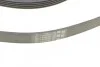 <strong>Пас поліклиновий Ford Focus 1.4/1.6i 03-/Volvo C30 CONTITECH 6PK1059 ELAST T2 (фото 4)</strong>
